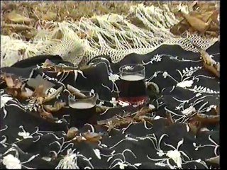 Sneki - Zal za tobom (SPOT 1990)