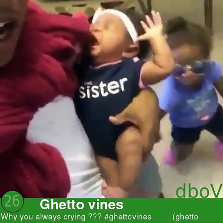 Daily Best of Vine Compilation #34