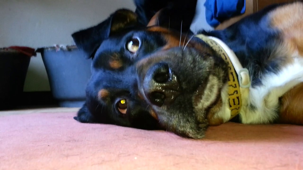 1 min 15 de bisous 19-09-15