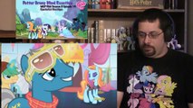 PotterBrony Blind Reaction MLP FIM s5e14 Canterlot Boutique