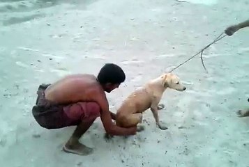 dog funny record by Aaga upload by WAK'S