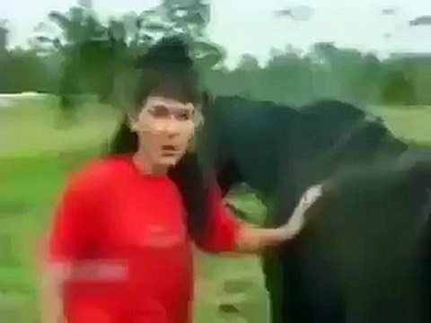 هبطت تحت الحصان ياخي عمللها عملة خااايبة ههههه بدموع
