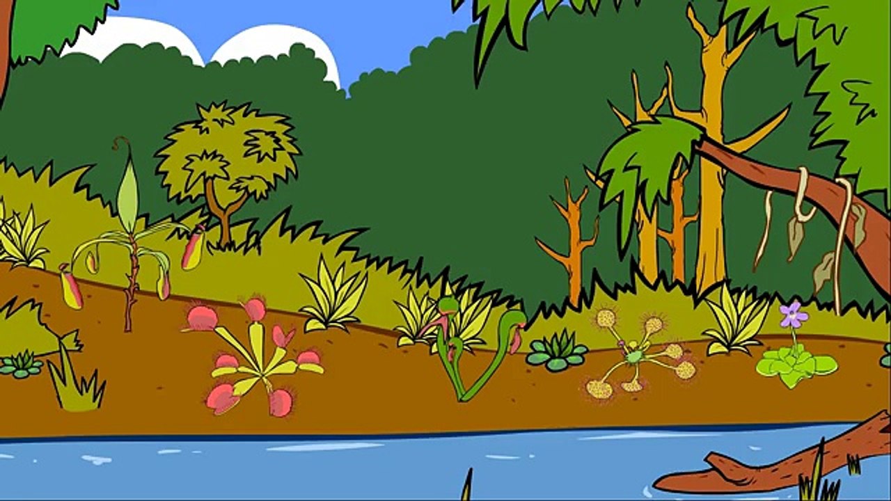 Les plantes carnivores - 1ère partie - dessin animé éducatif Genikids pour enfant