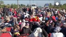 Мігранти збираються на сухопутному кордоні Туреччини та Греції