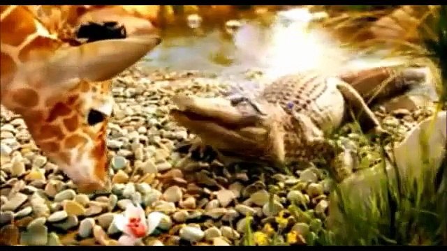 Anak-anak - Selamat Ulang tahun untuk Kamu - Terbaik-Selamat Ulang tahun Lagu! - Lucu Video!