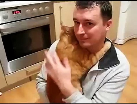 Кот обнимает хозяина!