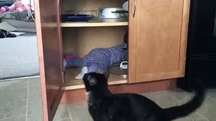 This cat has had enough of that kid funny - baby stuck inn cat's home