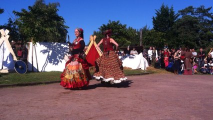 Affluence record pour Cidre et dragon à Merville