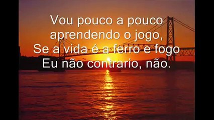 Toquinho - Entre a Loucura e a Razão