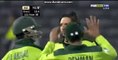Shahid Afridi bowl 134 km/h world record vs New Zealand - 3rd t20