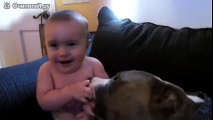 Пёс щекочет ребёнка!
