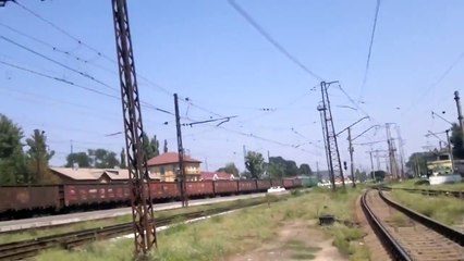 что может вырасти на железной дороге!