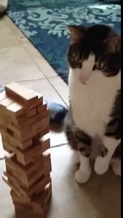 Jenga Chat