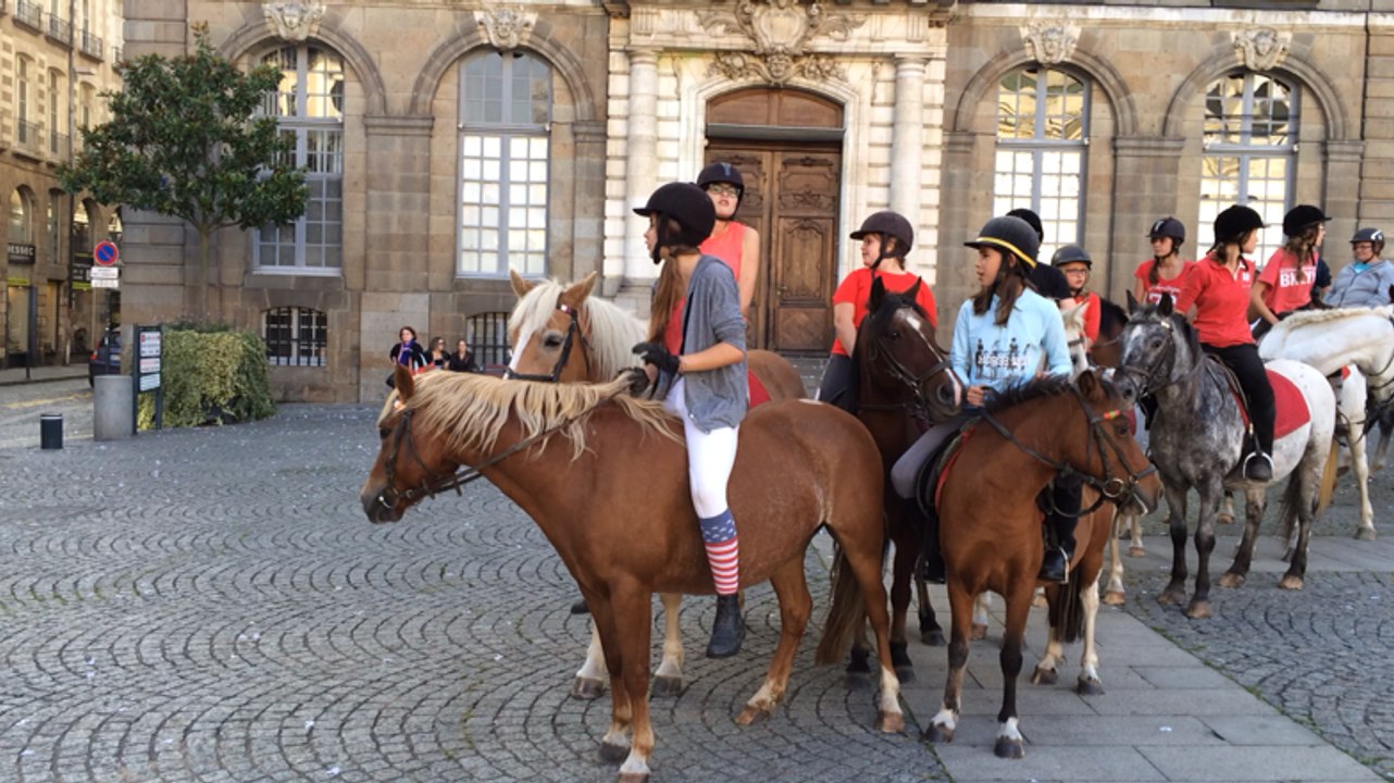 La fête du cheval, de l'âne et du poney