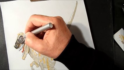 How I Drew a 3D Raptor