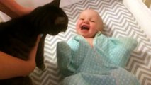 Un bébé trop heureux de voir un chat pour la première fois