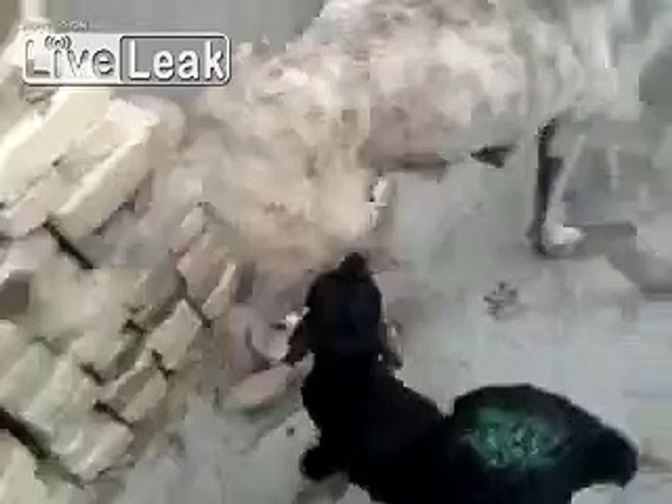 Sheep drinking dog milk
