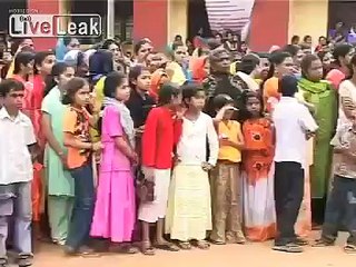 Elephant Rampage in Kerala India