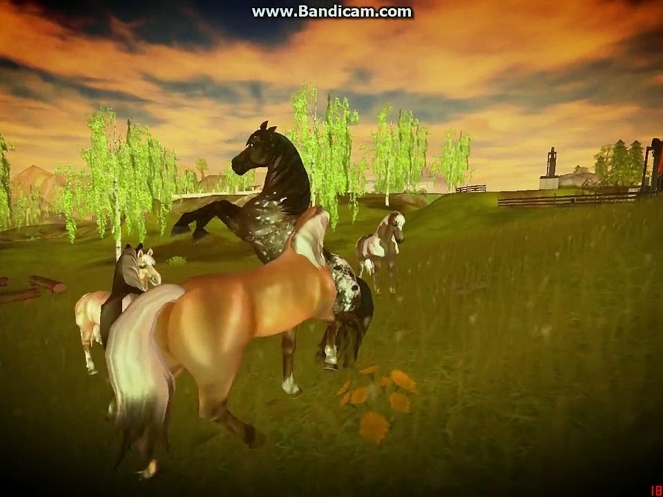 Wild wild horse