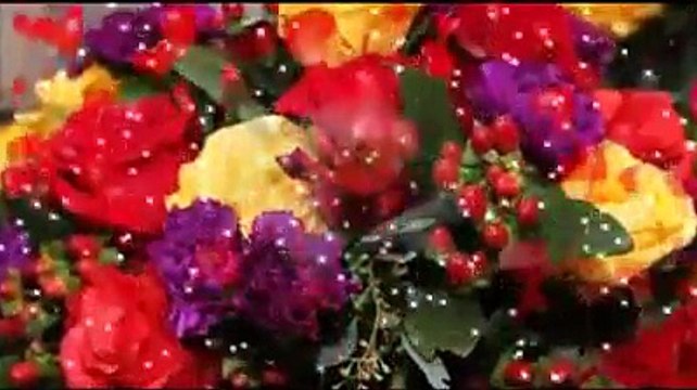 Dario Colombo - Io ti voglio Mari'