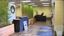 Seattle's largest medical POT dispensary opens | Largest pot store opens in Seattle