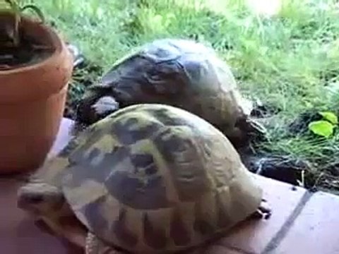 На 15ой секунде я упал со стула)