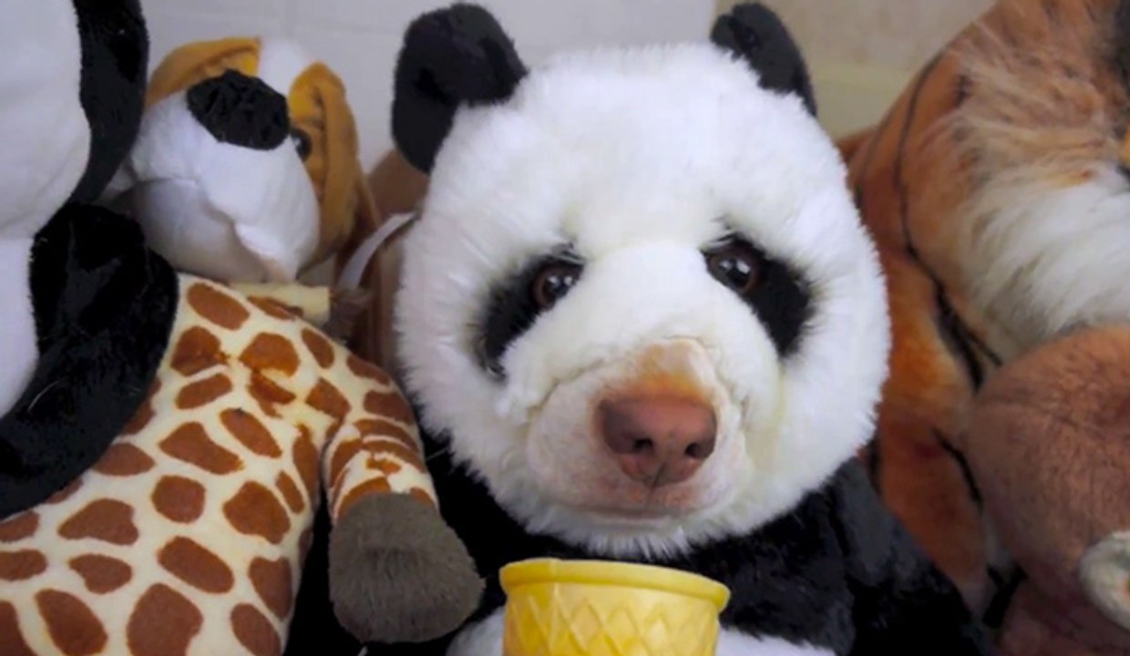 Un chien déguisé en panda mange un cornet de glace