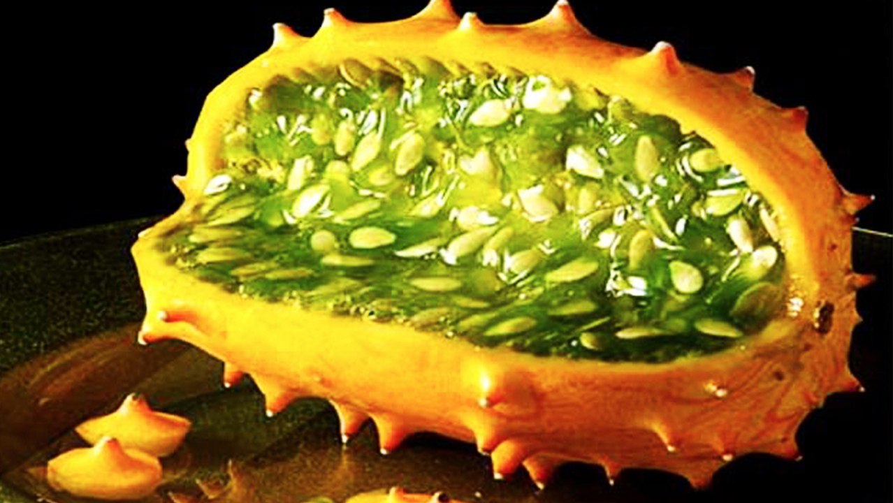 World's 10 Deadliest Foods