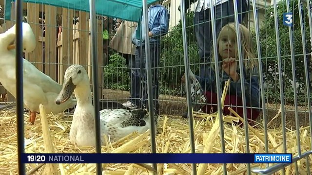 Journées du Patrimoine : le ministère de l'Agriculture, une mini-ferme à la capitale