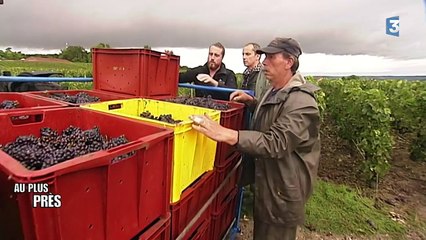 Journées du Patrimoine : à la rencontre des vignobles français