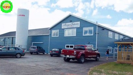 10 amazing islands, you must visit in Canada