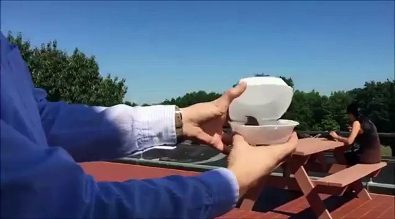 A couple filmed the moment they freed a bird - but it didn't quite go to plan - Mirror Online