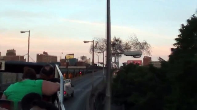 В небе над Нью-Йорком увидели портрет Путина!