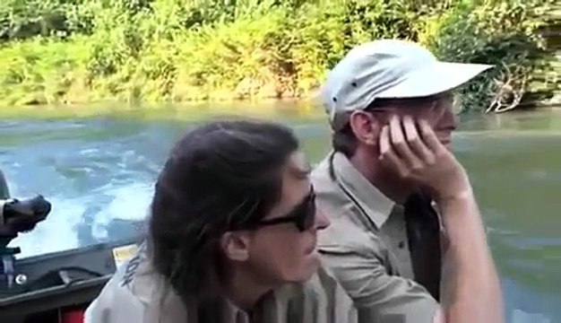 Встреча человека с гориллой, которую он вырастил!