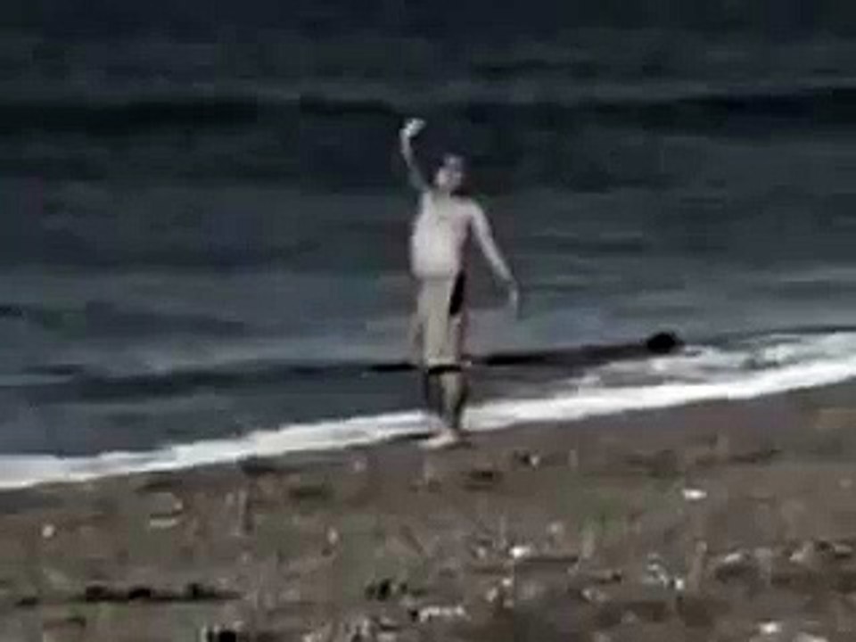 КОСАТКА (кит Касатка) съела человека живьём!