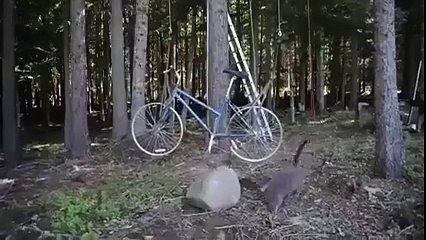 Bisiklet İlginç Bir Amaçla Kullanılıyor