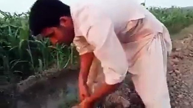 Walid ke ahsas ki qader karni chaiye