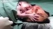 I Want To Stay With My Mummy! Newborn Refuses To Let Go
