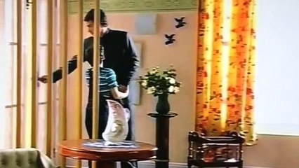 Antonio e Luíza - Cidadão - vídeo 819