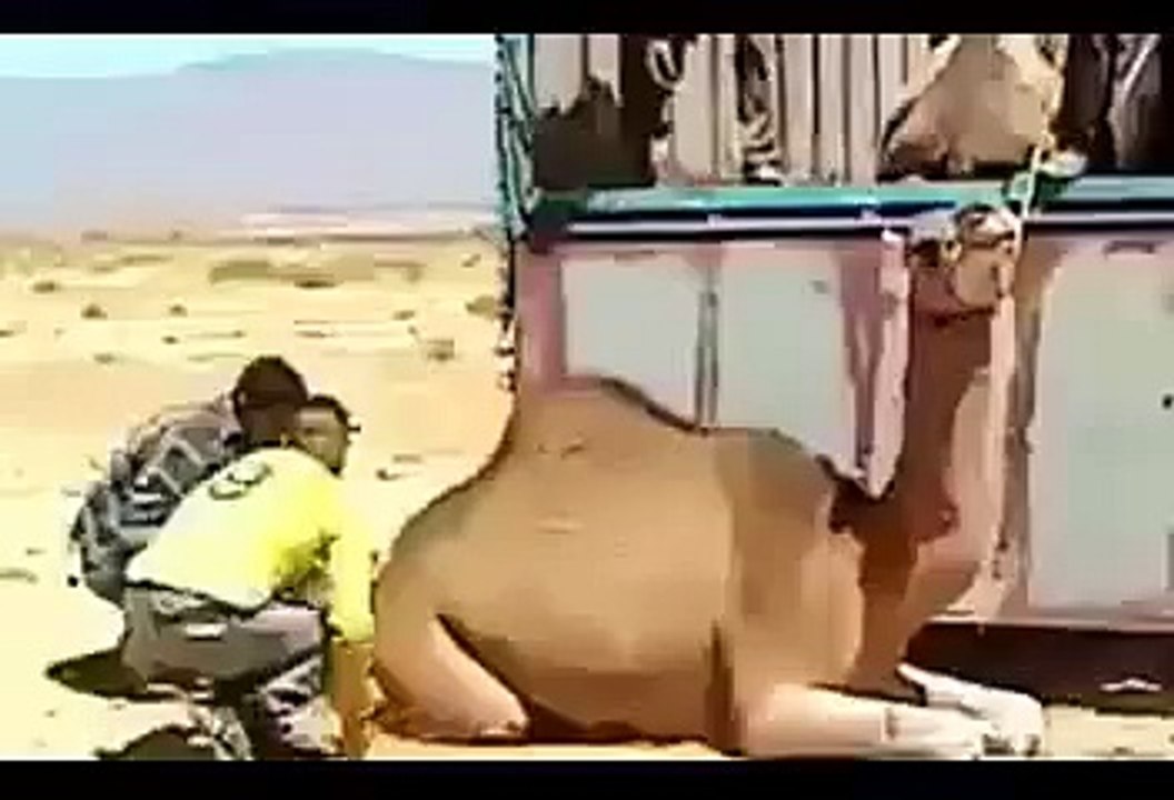 Kia power hai yar is admi main