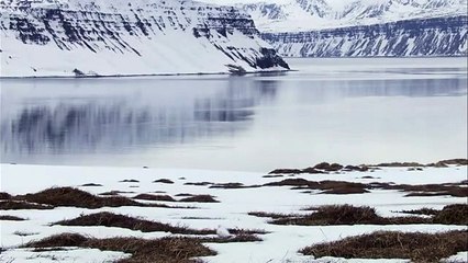 Wild Iceland highly recomended,must watch.[2]
