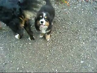 Lucky du coeur de lune  003