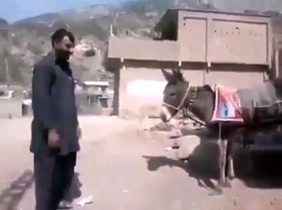 ان دونو میں کیا فرق ہے