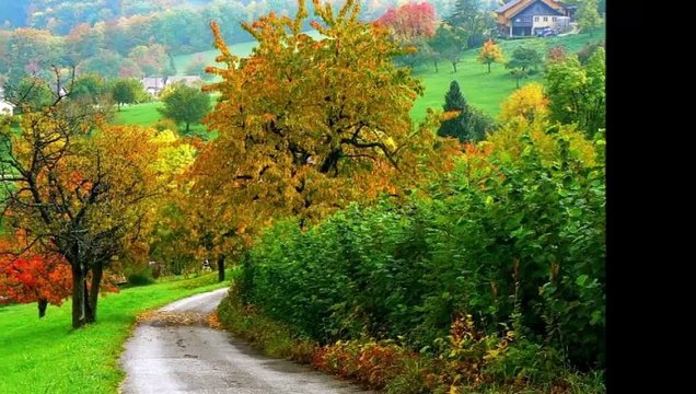 Nusret Yılmaz - BIKMIŞ GİBİ GÖNLÜM