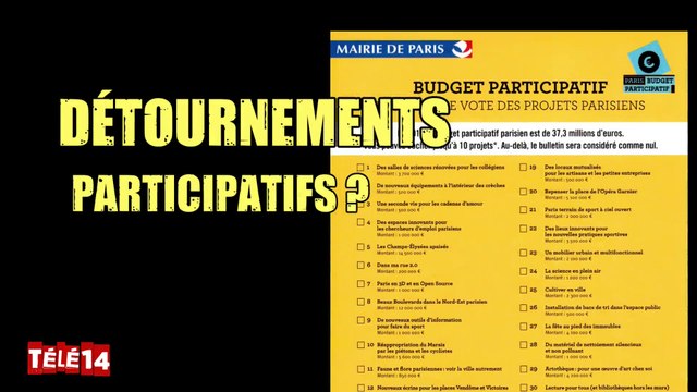 Démocratie et détournements participatifs