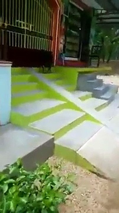 funny goat