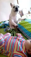 هههههه بدموع عزوزة وزغرتولها في ودهنها