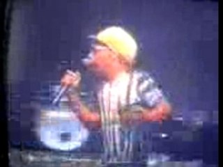 Reggae Music: Roots and Rhythms 🎶