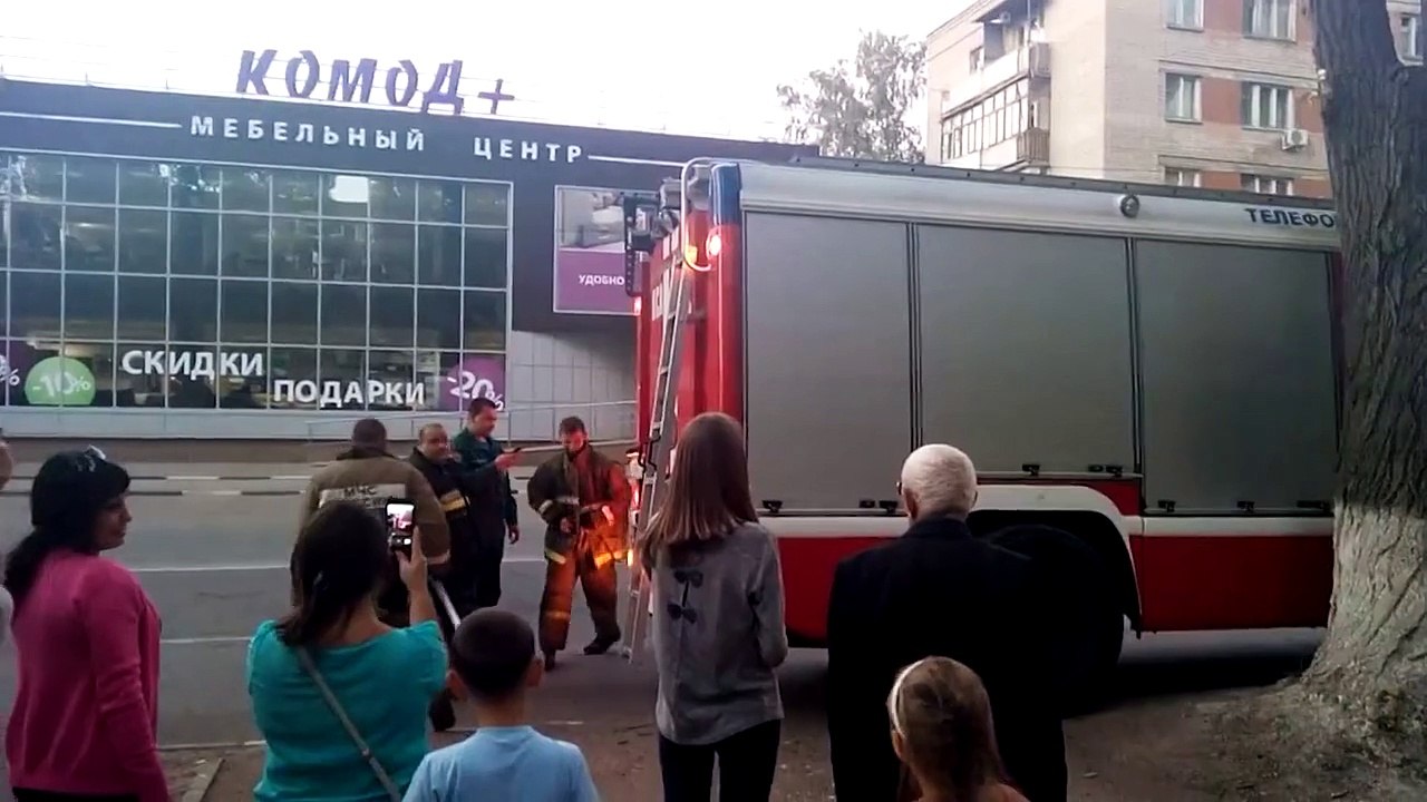 Firefighters rescue a cute kitten stuck up a tree