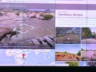 La technologie au secours des éléphants d'Afrique